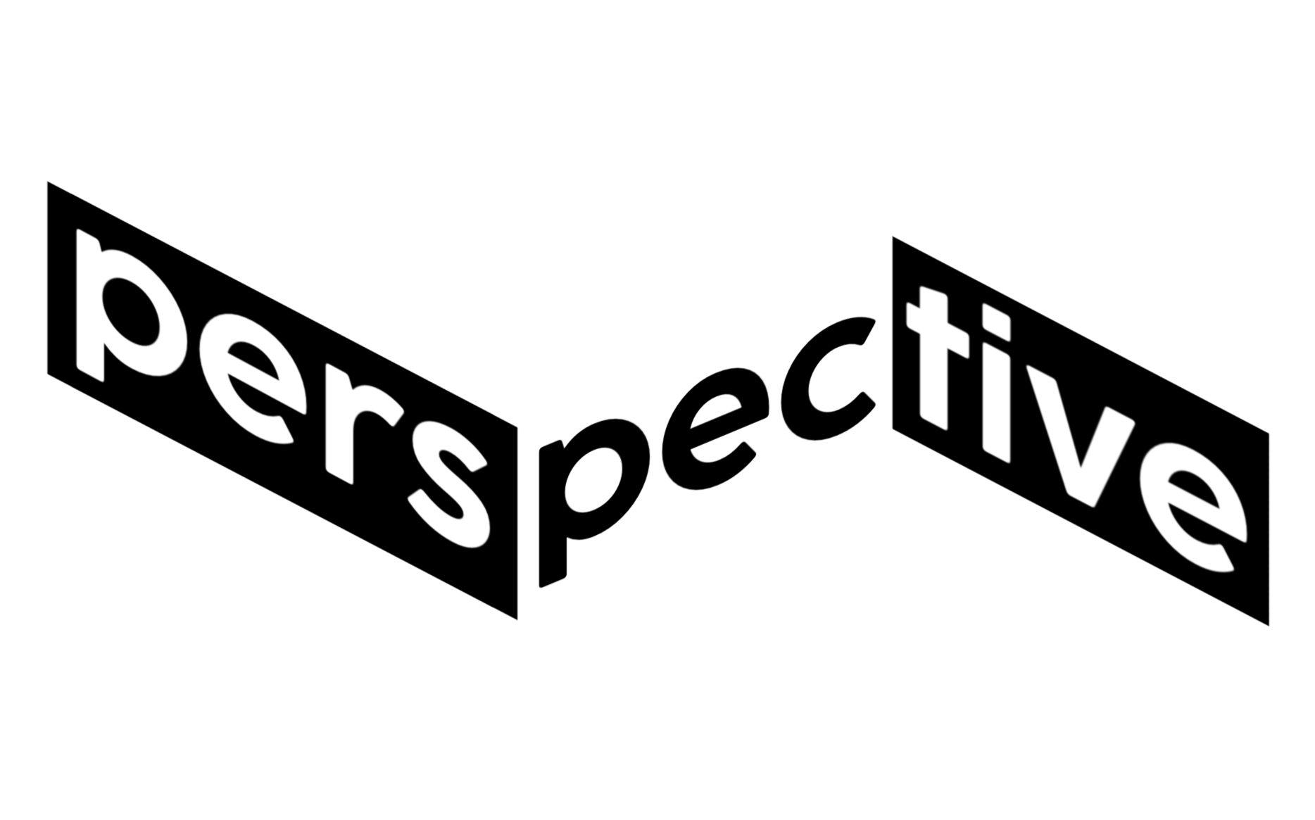 Perspective
